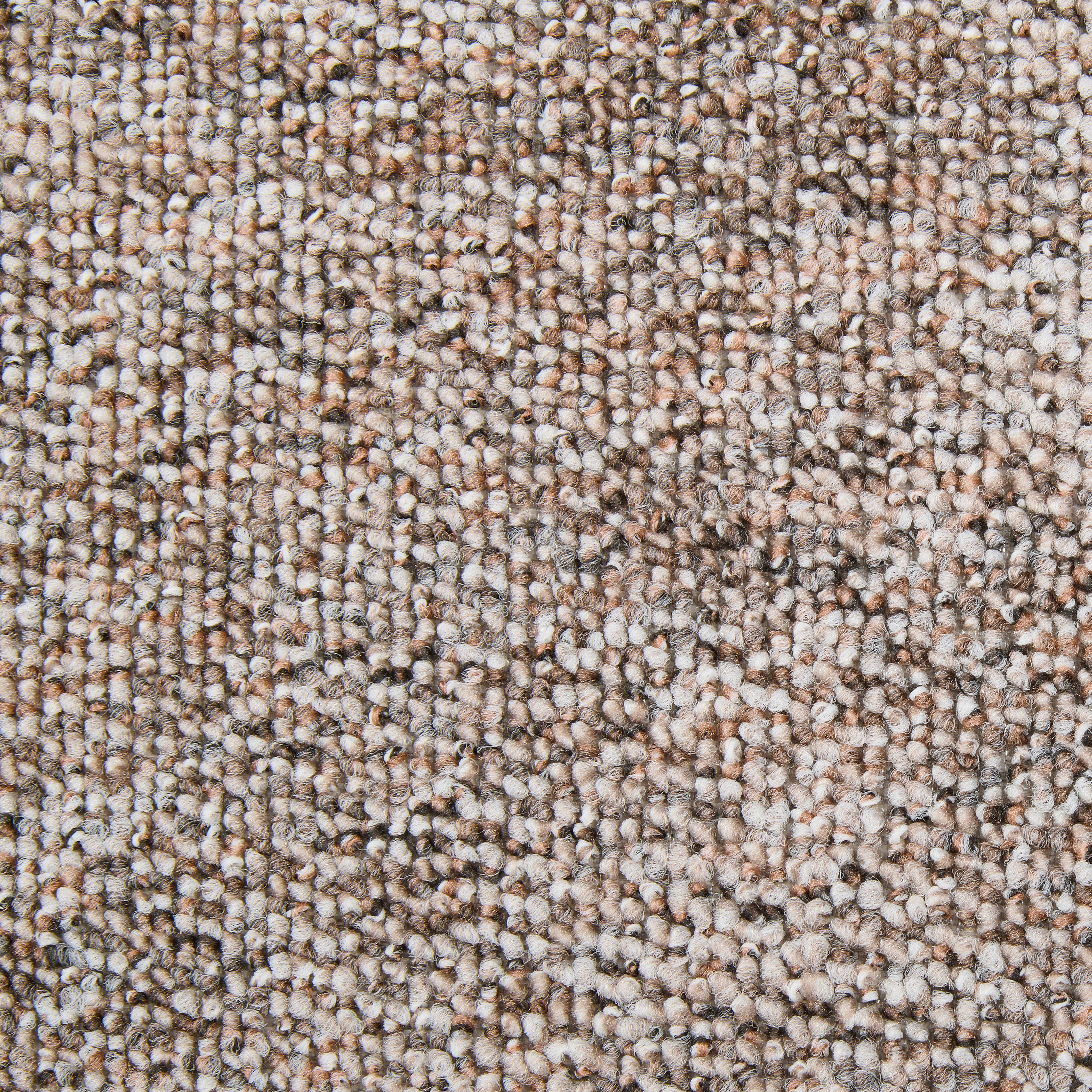 Teppichboden Mars dunkelbeige B: ca. 400 cm pro m² Mars - dunkelbeige (400,00cm)