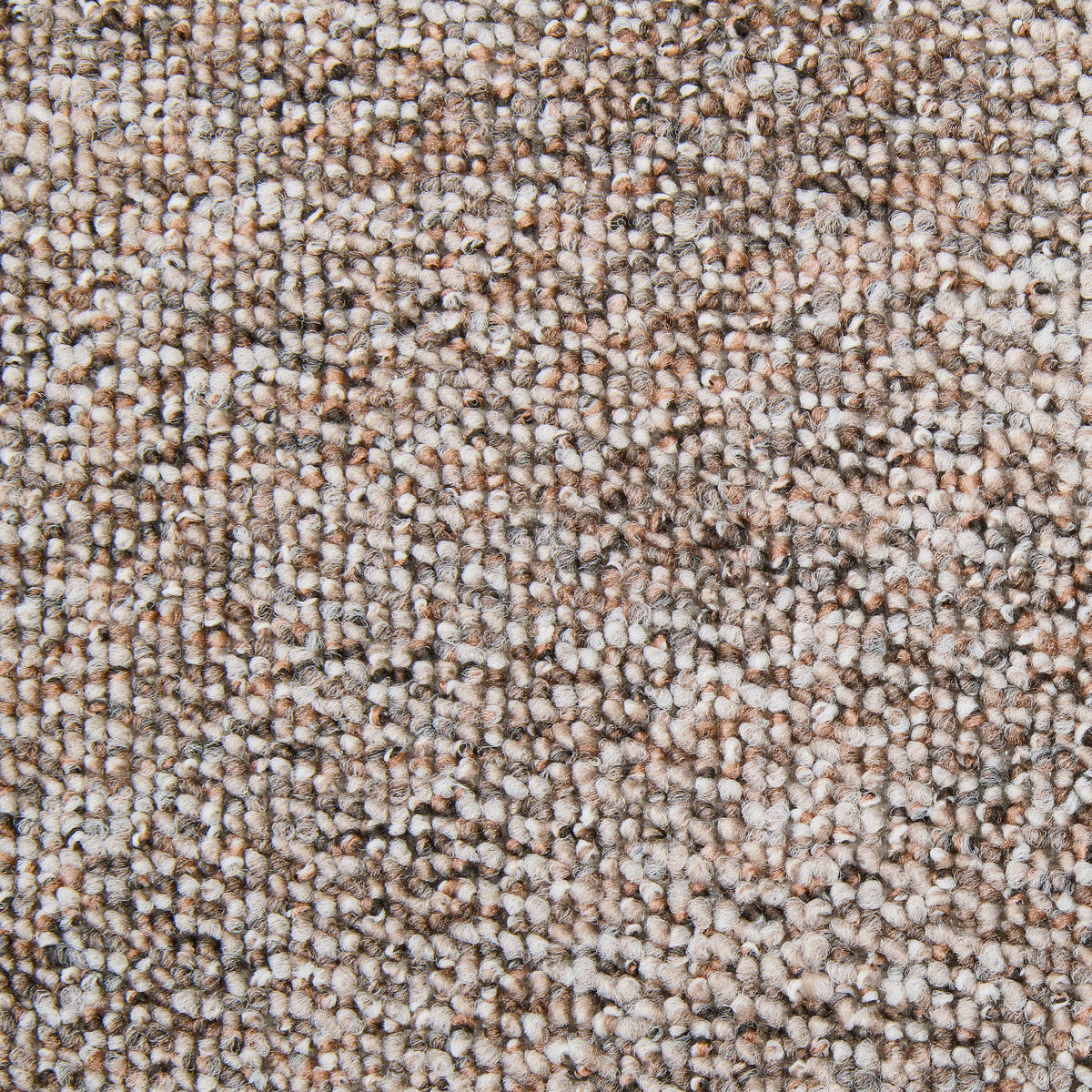 Teppichboden Mars dunkelbeige B: ca. 400 cm pro m² Mars - dunkelbeige (400,00cm)