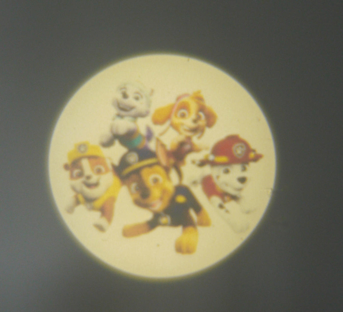 Niermann Stecker-Nachtlicht Paw Patrol 3fach 80048 dunkelblau rot Kunststoff Stecker-Nachtlicht_Paw_Patrol_3fach - rot/dunkelblau - Niermann