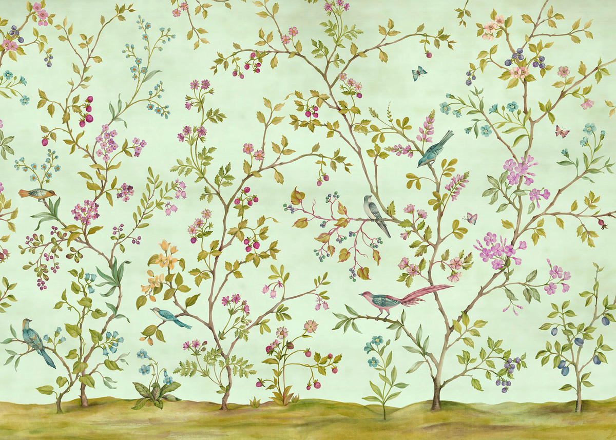 Komar Fototapete Oiseaux du Paradis B/L: ca. 350x250 cm Oiseaux du Paradis - (350,00/250,00cm) - Komar