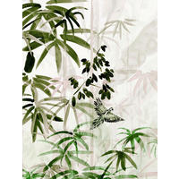 Komar Poster Bamboo Forest Bamboo B/L: ca. 30x40 cm Bamboo Forest - (30,00/40,00cm) - Komar