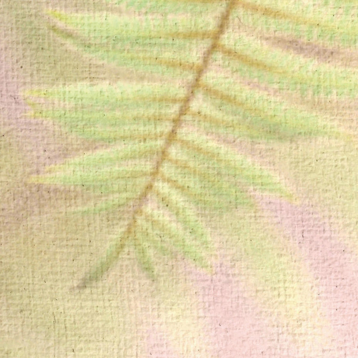 Komar Fototapete Vague Botany B/L: ca. 200x250 cm Vague Botany - (200,00/250,00cm) - Komar