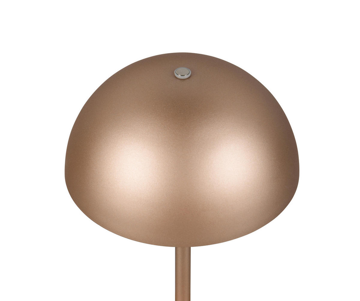 Reality LED Tischleuchte MUNOZ kaffee Metall H: ca. 21 cm 1 Brennstellen Munoz - kaffee (21,00cm) - Reality