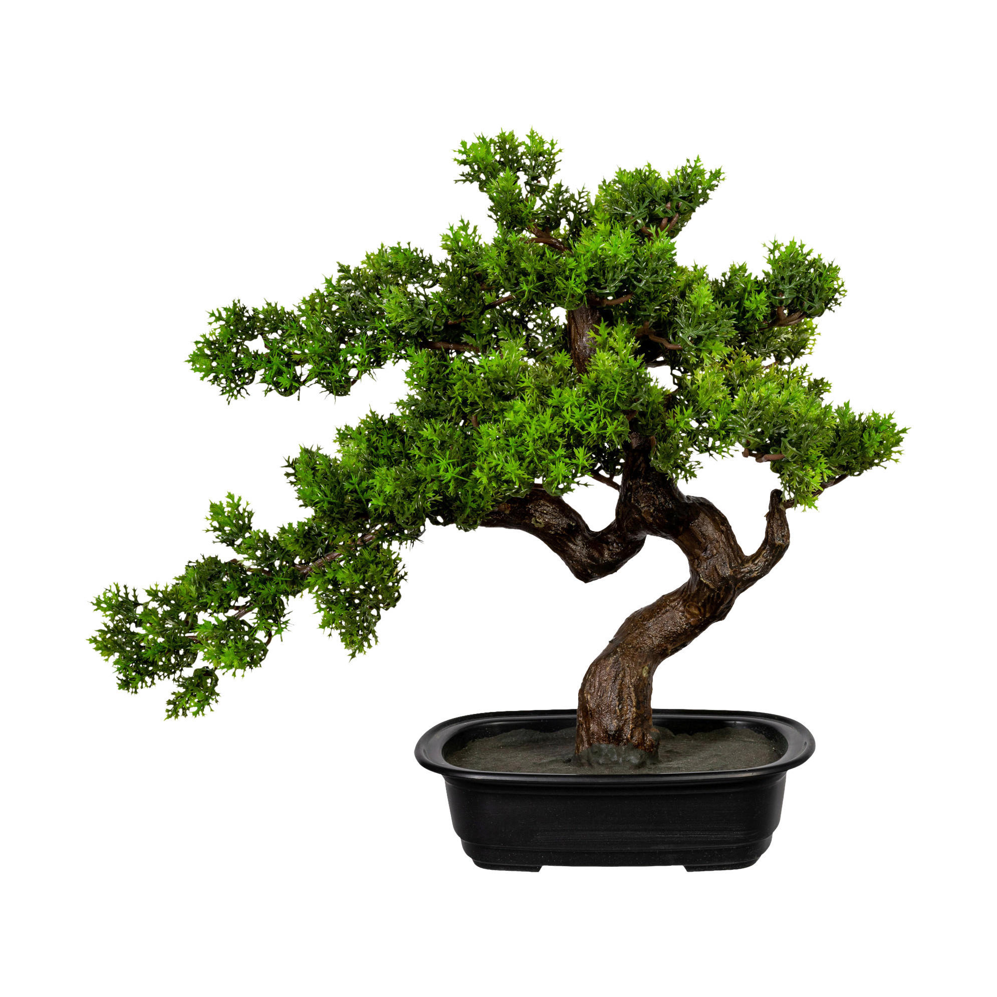 Kunstpflanze Bonsai Myrte grün Kunststoff B/H/L: ca. 30x40x20 cm günstig online kaufen