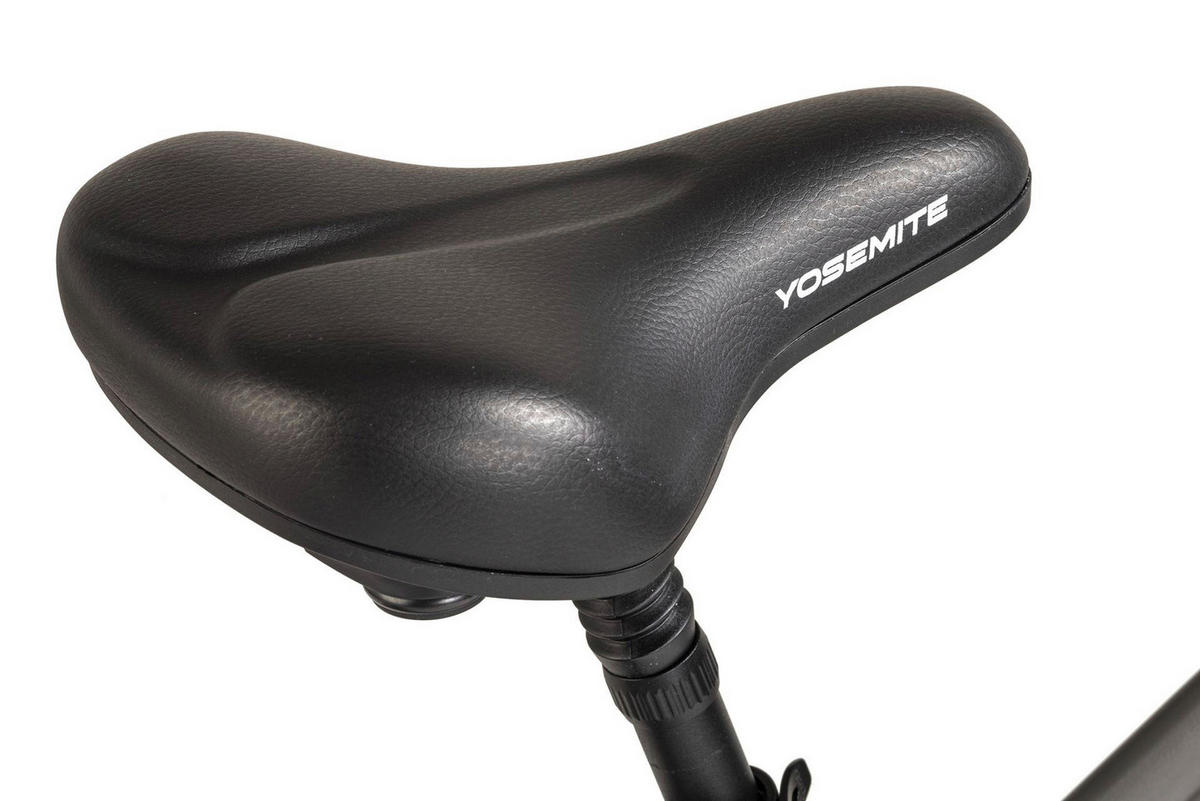 Hollandia Alu E-Cityrad Mantova Mantova 28'' 28 Zoll Rahmenhöhe 52 cm 7 Gänge grau grau ca. 250 W ca. 36 V ca. 28 Zoll Mantova - grau - Hollandia