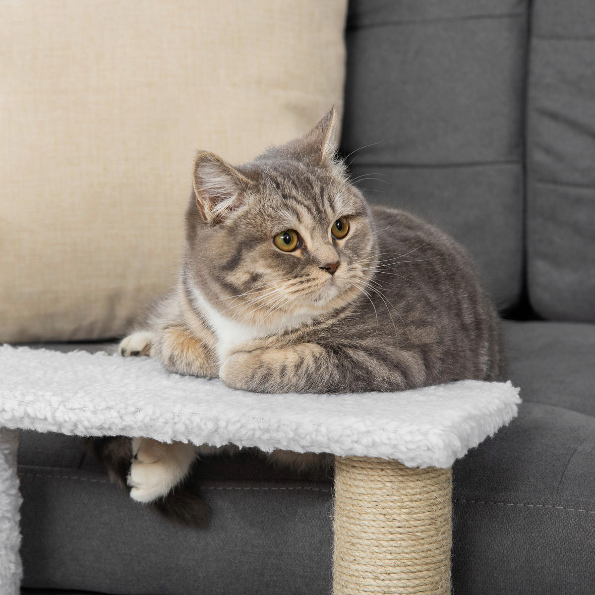 PawHut Haustiertreppe weiß Spanplatte B/H/L: ca. 40x48x45 cm Haustiertreppe - weiß (45,00/40,00/48,00cm) - PawHut