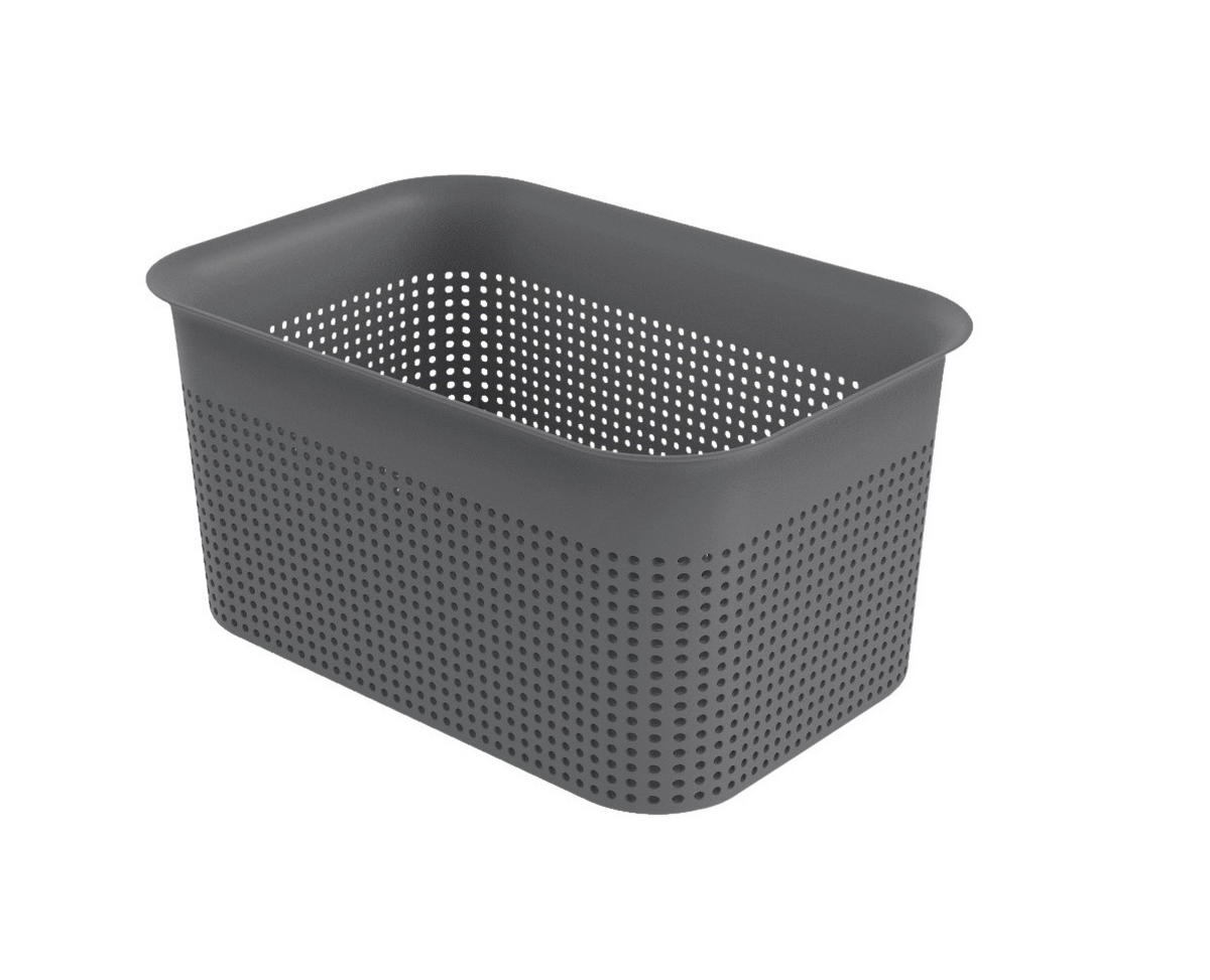 Rotho Aufbewahrungsbox anthrazit B/H/L: ca. 18x13x26 cm Box_Brisen 4,5l - anthrazit (26,00/18,00/13,00cm) - Rotho