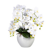 Kunstpflanze Phalaenopsis weiß Kunststoff B/H/L: ca. 31x56x31 cm Phalaenopsis - weiß (31,00/31,00/56,00cm)