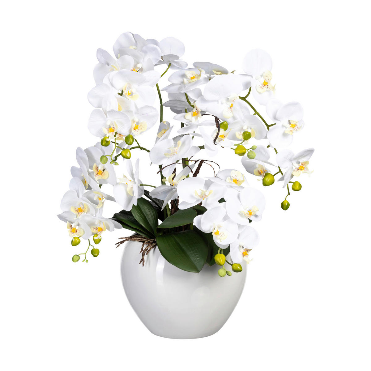 Kunstpflanze Phalaenopsis weiß Kunststoff B/H/L: ca. 31x56x31 cm Phalaenopsis - weiß (31,00/31,00/56,00cm)