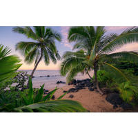 Komar Fototapete Hawaiian Dreams B/L: ca. 450x280 cm Hawaiian Dreams - (450,00/280,00cm) - Komar