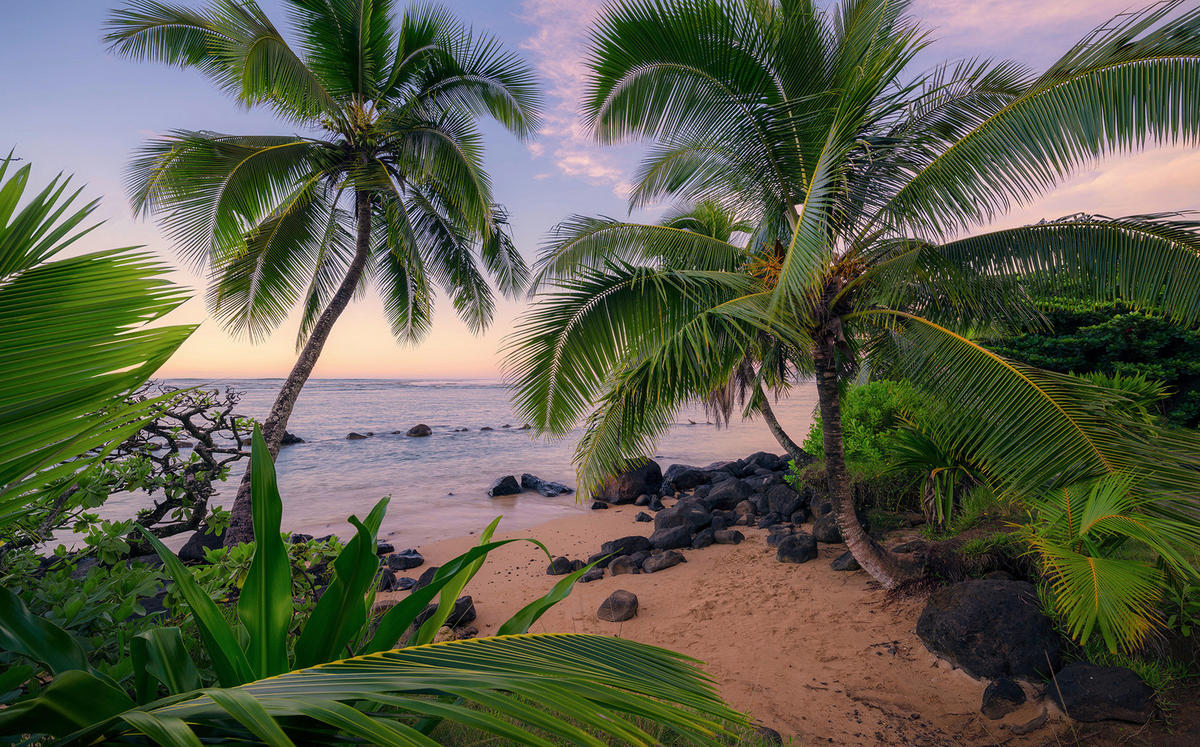 Komar Fototapete Hawaiian Dreams B/L: ca. 450x280 cm Hawaiian Dreams - (450,00/280,00cm) - Komar