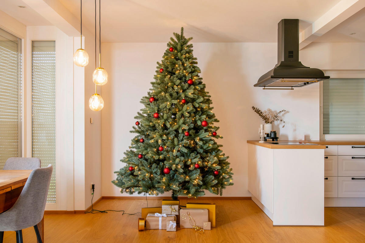 Evergreen Weihnachtsbaum Vermont Fichte Vermont Fichte - grün (160,00/160,00/240,00cm) - Evergreen