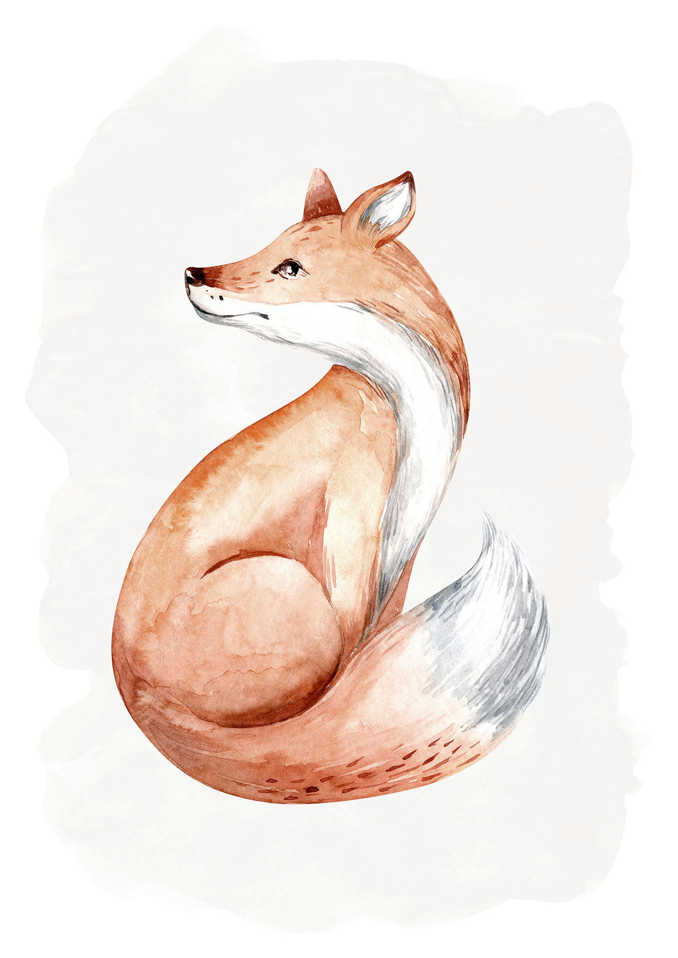 Komar Poster Curious Fox Tiere B/L: ca. 30x40 cm günstig online kaufen