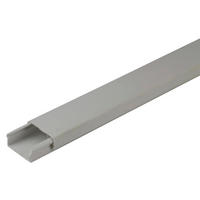 Installationskanal grau B/H/L: ca. 2x1x200 cm Installationskanal PVC 10x20mm 2m - grau (200,00/2,00/1,00cm)