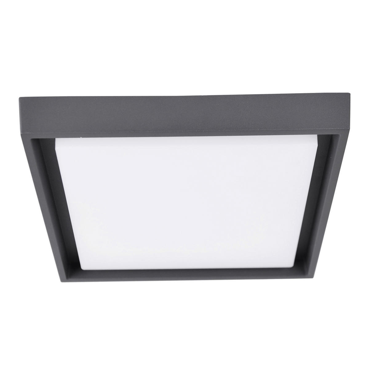 Näve Leuchten LED-Deckenleuchte anthrazit Kunststoff Metall B/H/T: ca. 34x5x34 cm MIO - anthrazit (34,00/5,00/34,00cm) - Näve Leuchten