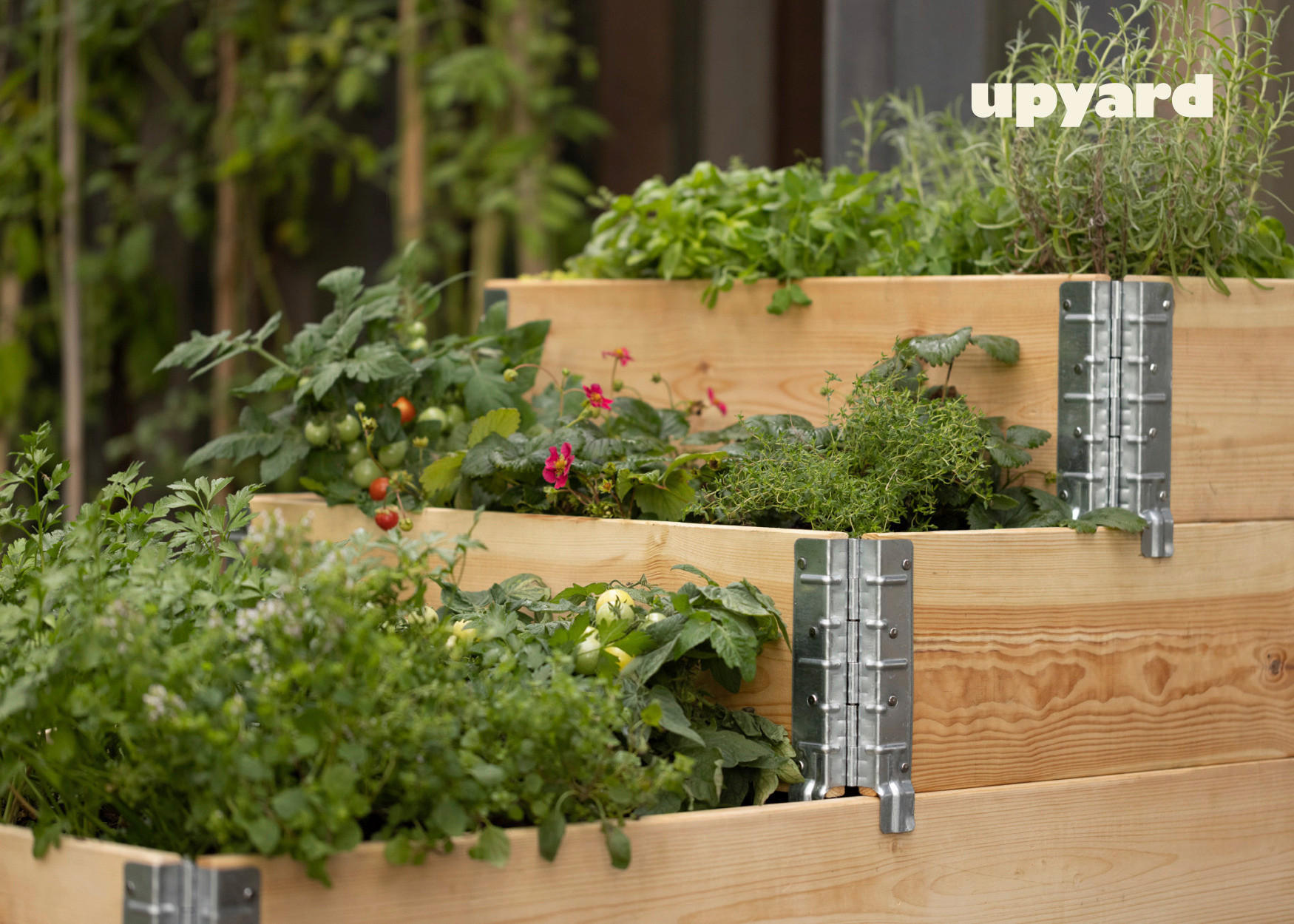 UPYARD Stufenbeet INDUSTRIAL natur Holz B/L: ca. 30x80 cm INDUSTRIAL - natur (30,00/80,00cm) - UPYARD