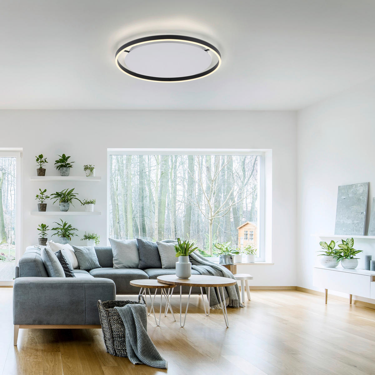 Just Light LED-Deckenleuchte RITUS 15392-13 weiß anthrazit Metall H/D: ca. 5,3x58,5 cm 1 Brennstellen RITUS - weiß/anthrazit (58,50/5,30cm) - Just Light