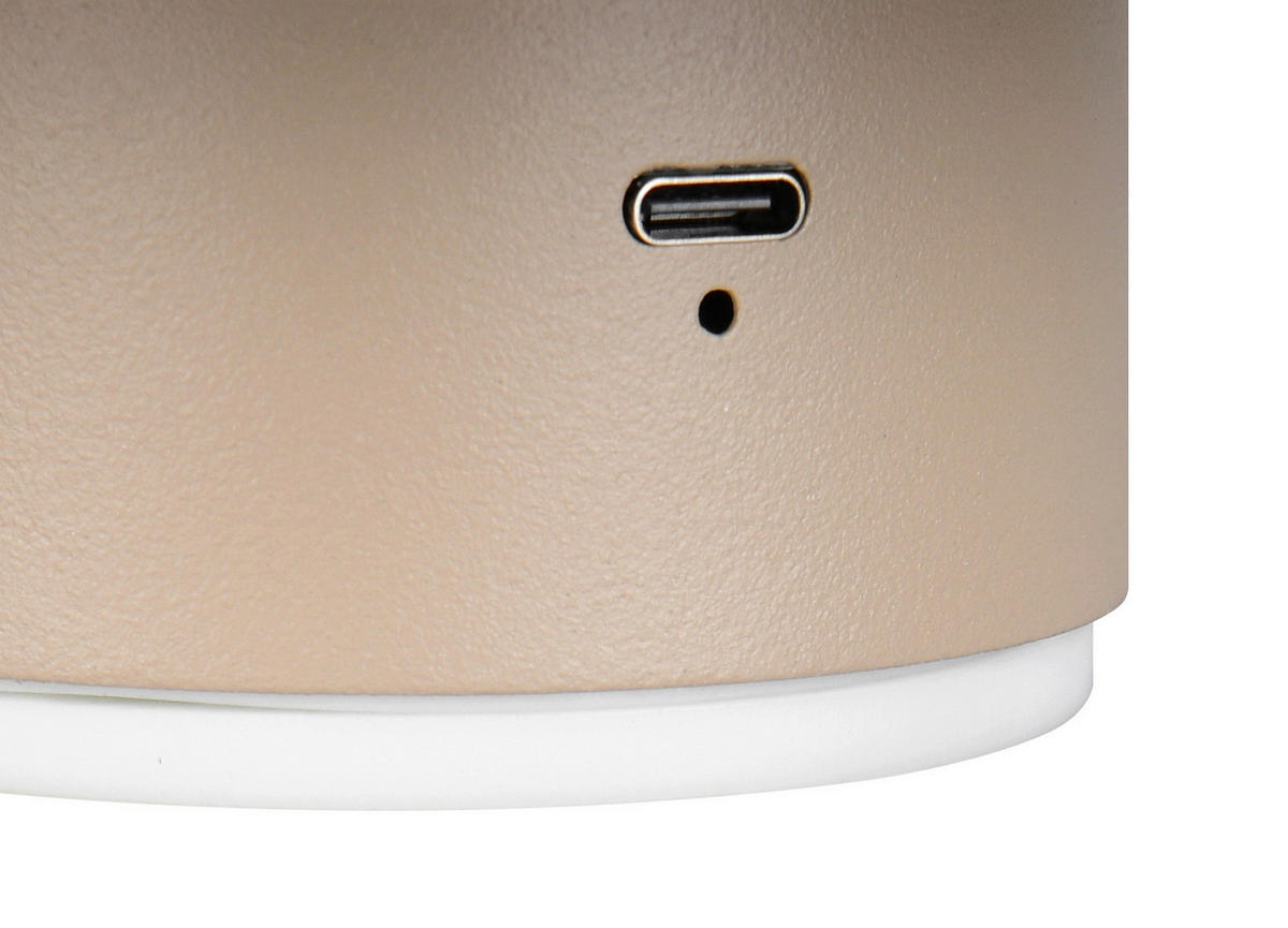 Reality LED Wandleuchte DAVEY beige Metall 1 Brennstellen Davey - beige - Reality