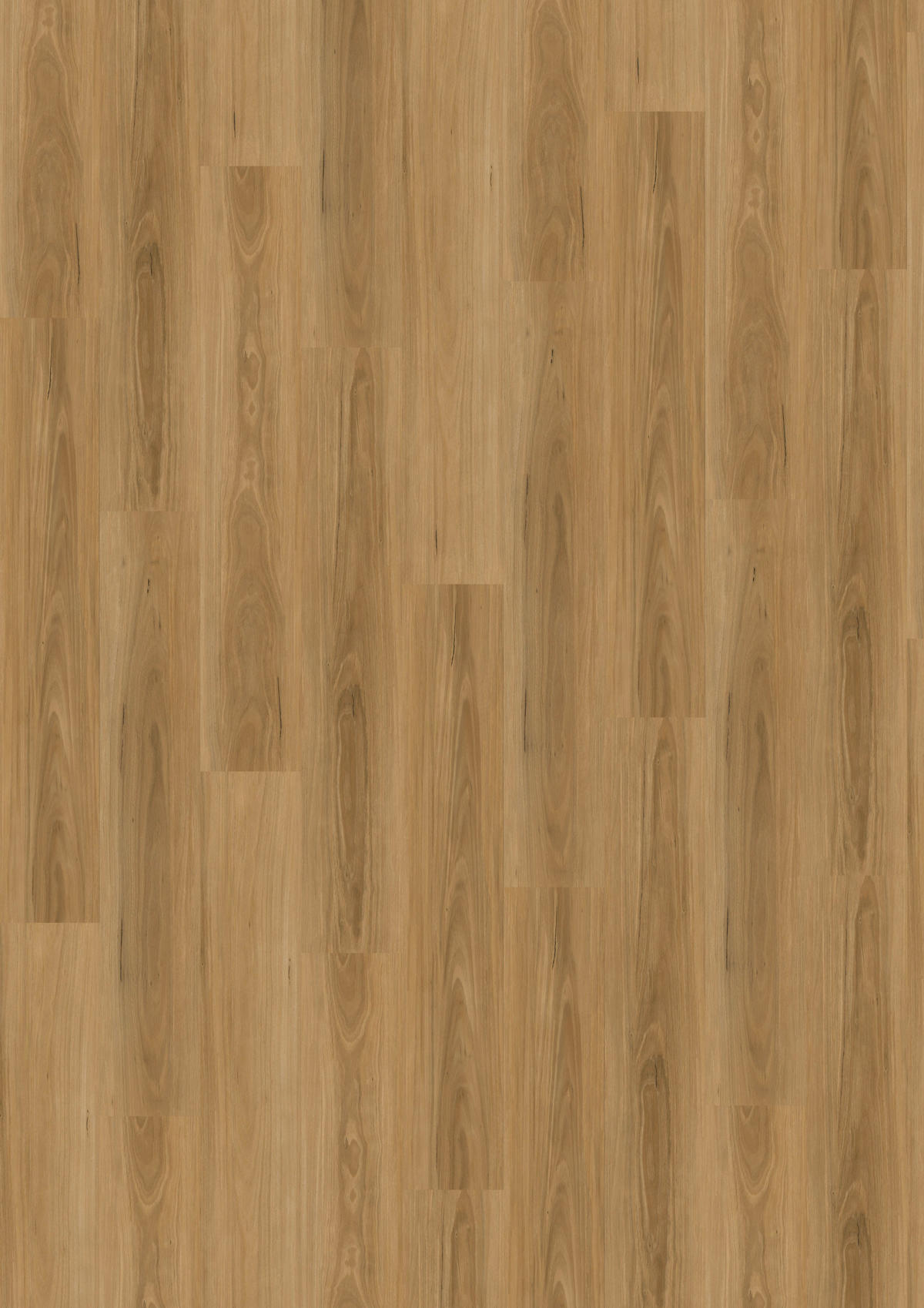Vinylplanke Natural Oak, ca. 1,115 m² im Paket B/L: ca. 15,24x91,44 cm Natural Oak, ca. 1,115 m² im Paket - Eiche (15,24/91,44cm)