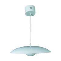 Näve Leuchten LED Pendelleuchte NV7059459 Oslo - silber (34,00/125,00cm) - Näve Leuchten