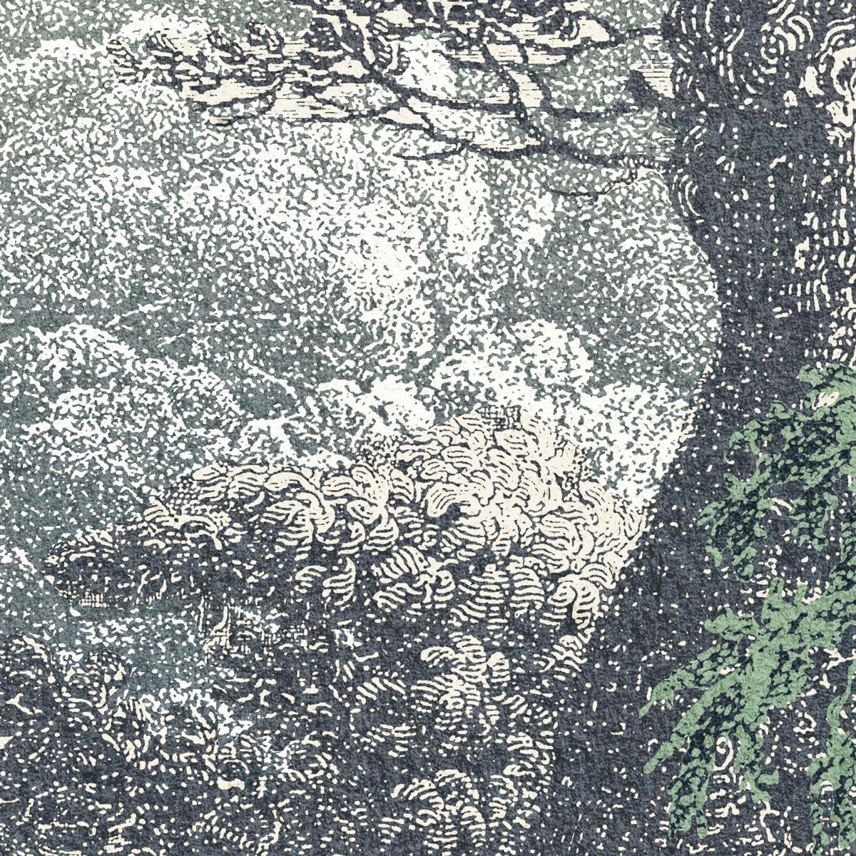 Komar Fototapete Fairytale Forest B/L: ca. 400x280 cm Fairytale Forest - (400,00/280,00cm) - Komar