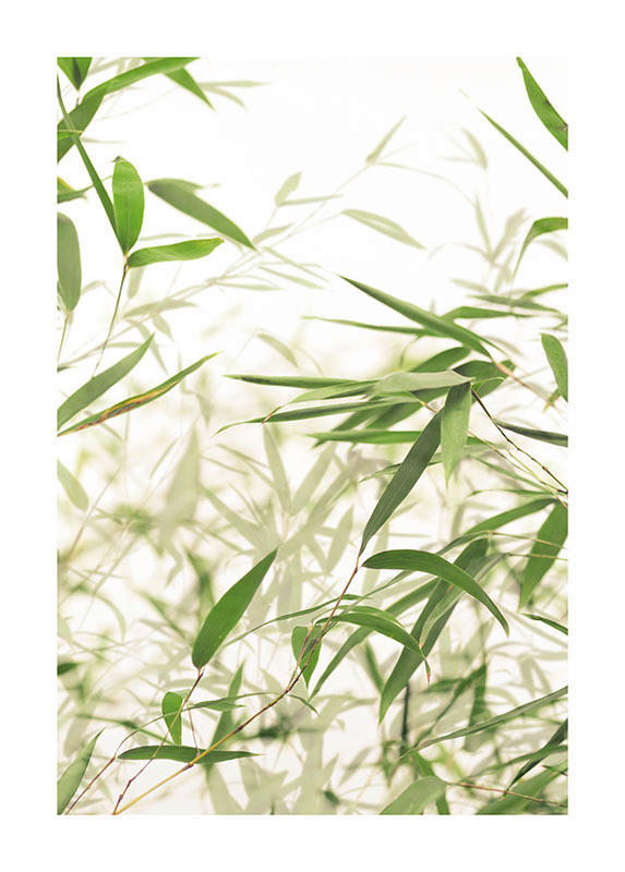 Komar Poster Bamboo Leaves Pflanzen B/L: ca. 50x70 cm