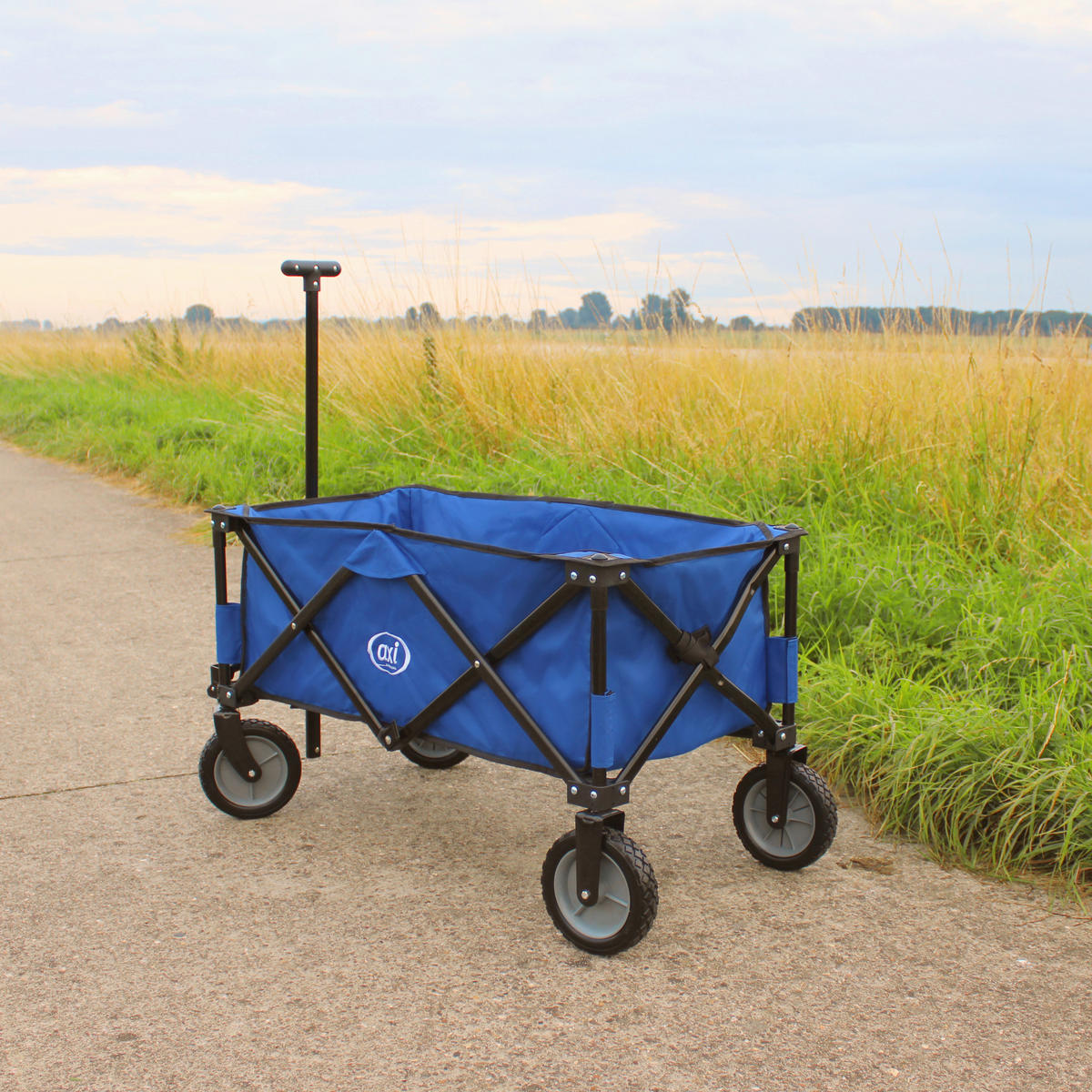 AXI Bollerwagen AB110 blau B/H/L: ca. 50x61x100 cm AB110 - blau (100,00/50,00/61,00cm) - AXI