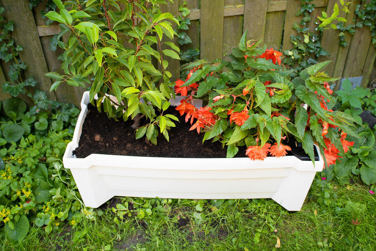 KHW Pflanzkasten mit Rollen Calypso weiß Kunststoff B/H/T: ca. 79x33x35 cm Calypso - weiß (79,00/33,00/35,00cm) - KHW