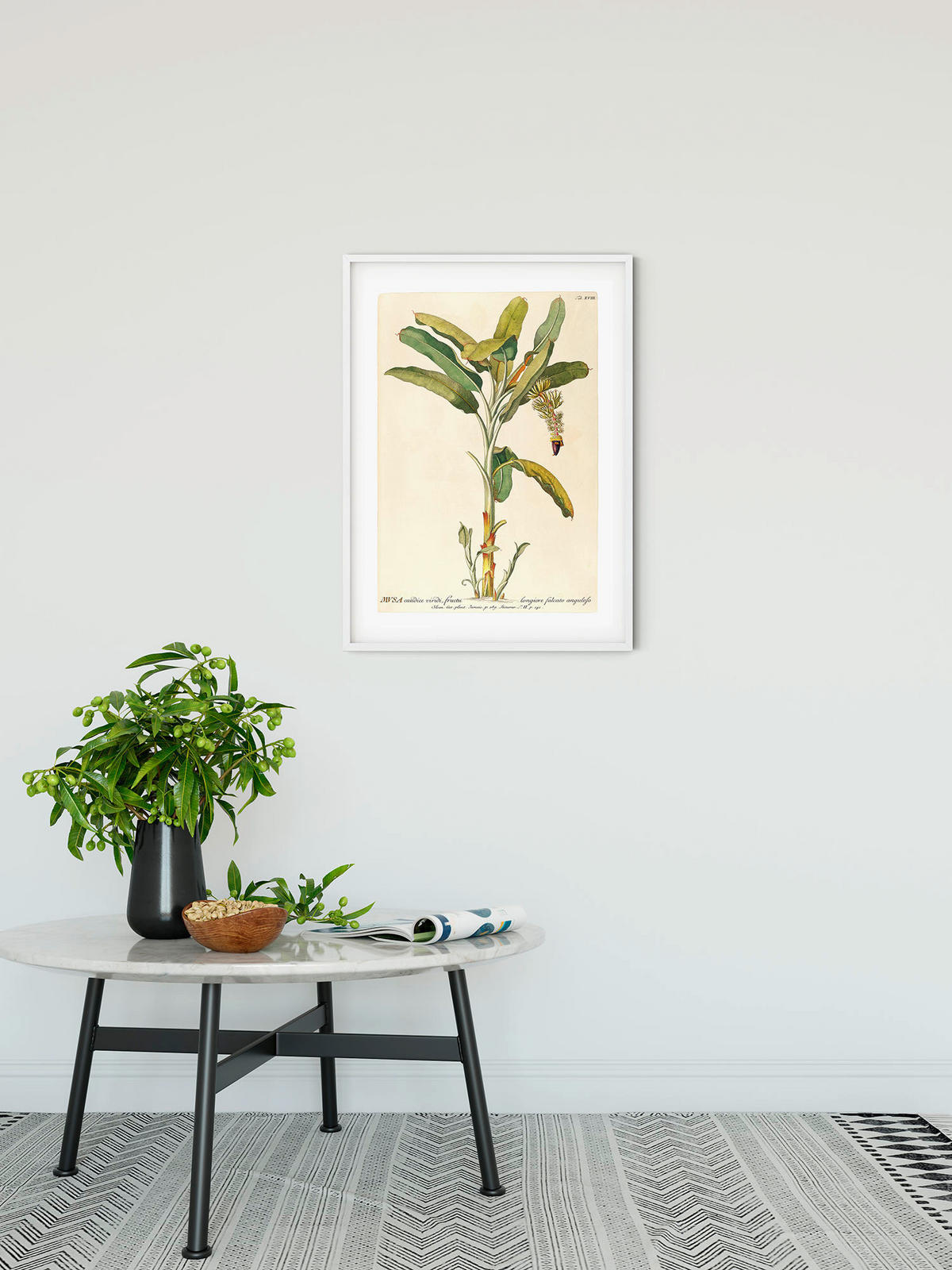 Komar Poster Rainforest Sapling Pflanzen B/L: ca. 40x50 cm Rainforest Sapling - (40,00/50,00cm) - Komar