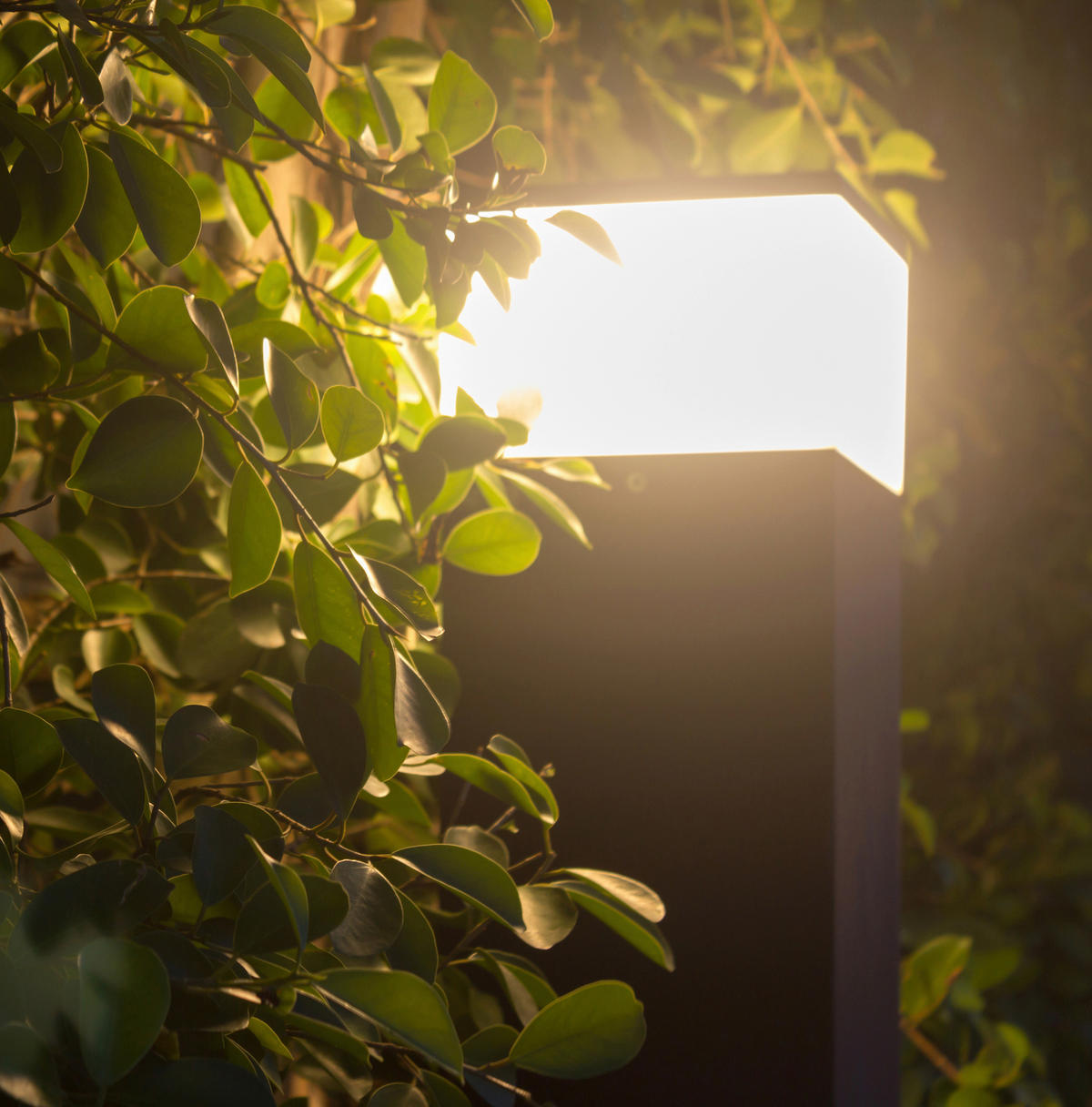 Näve Leuchten LED-Außenwandleuchte 1250697 anthrazit Aluminium Kunststoff B/H/L: ca. 12,5x50x7 cm LED Außensockelleuchte Vigo mit LED - anthrazit (7,00/12,50/50,00cm) - Näve Leuchten