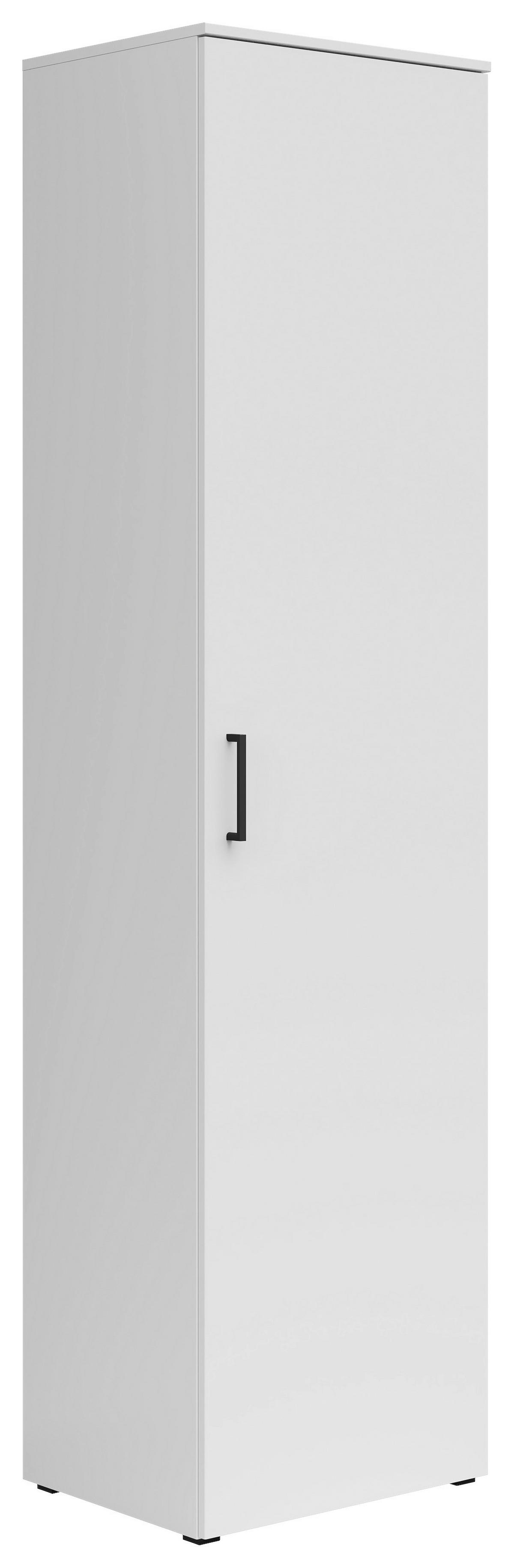 Schrank Multi-Stauraum Typ 51 weiß B/H/T: ca. 50x195x40 cm Multi-Stauraum Typ 51 - weiß (50,00/195,00/40,00cm)