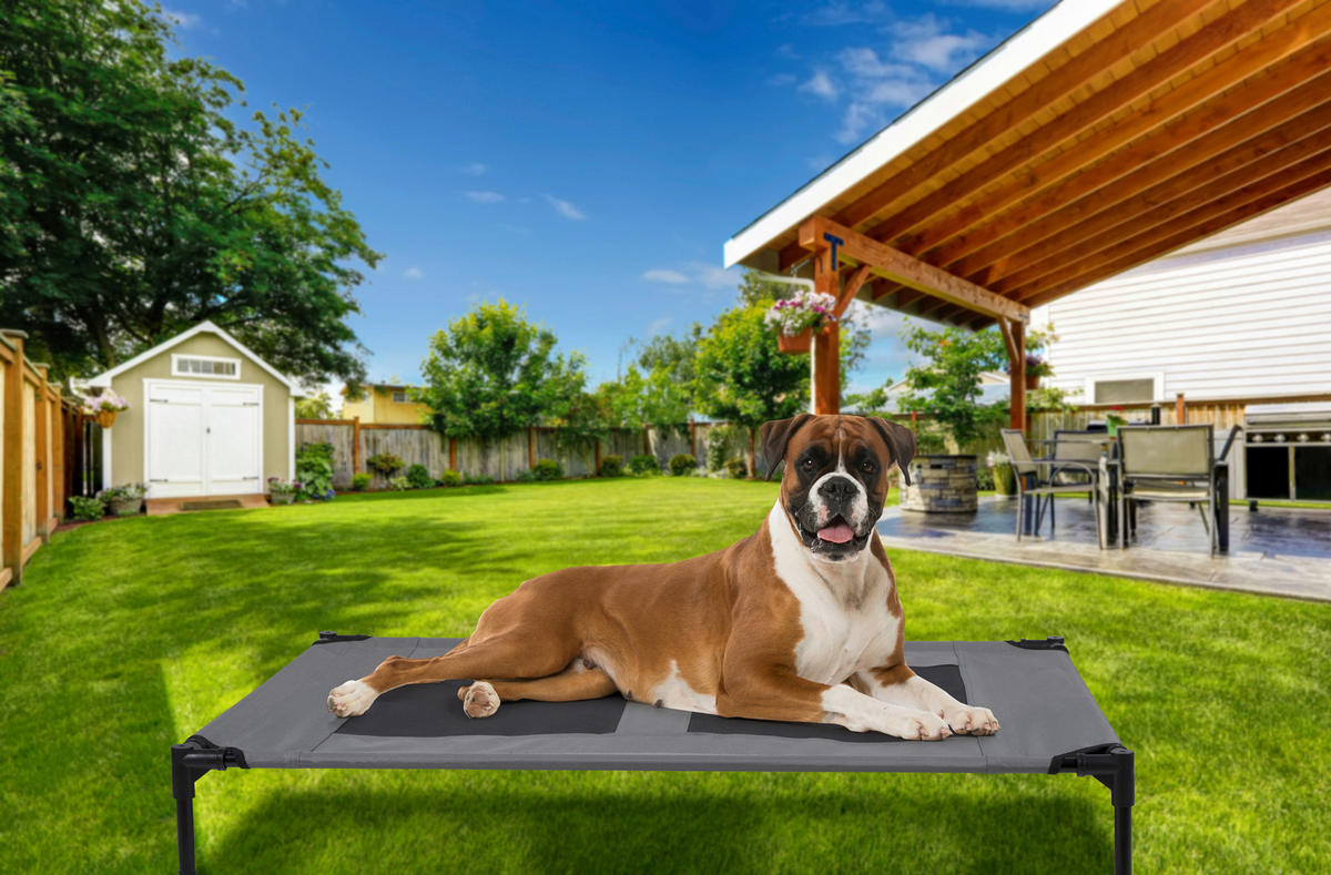 Pet Comfort Haustierbett grau Polyester B/H/L: ca. 106x17x76 cm Erhöhtes_Haustierbett_L - grau (76,00/106,00/17,00cm) - Pet Comfort