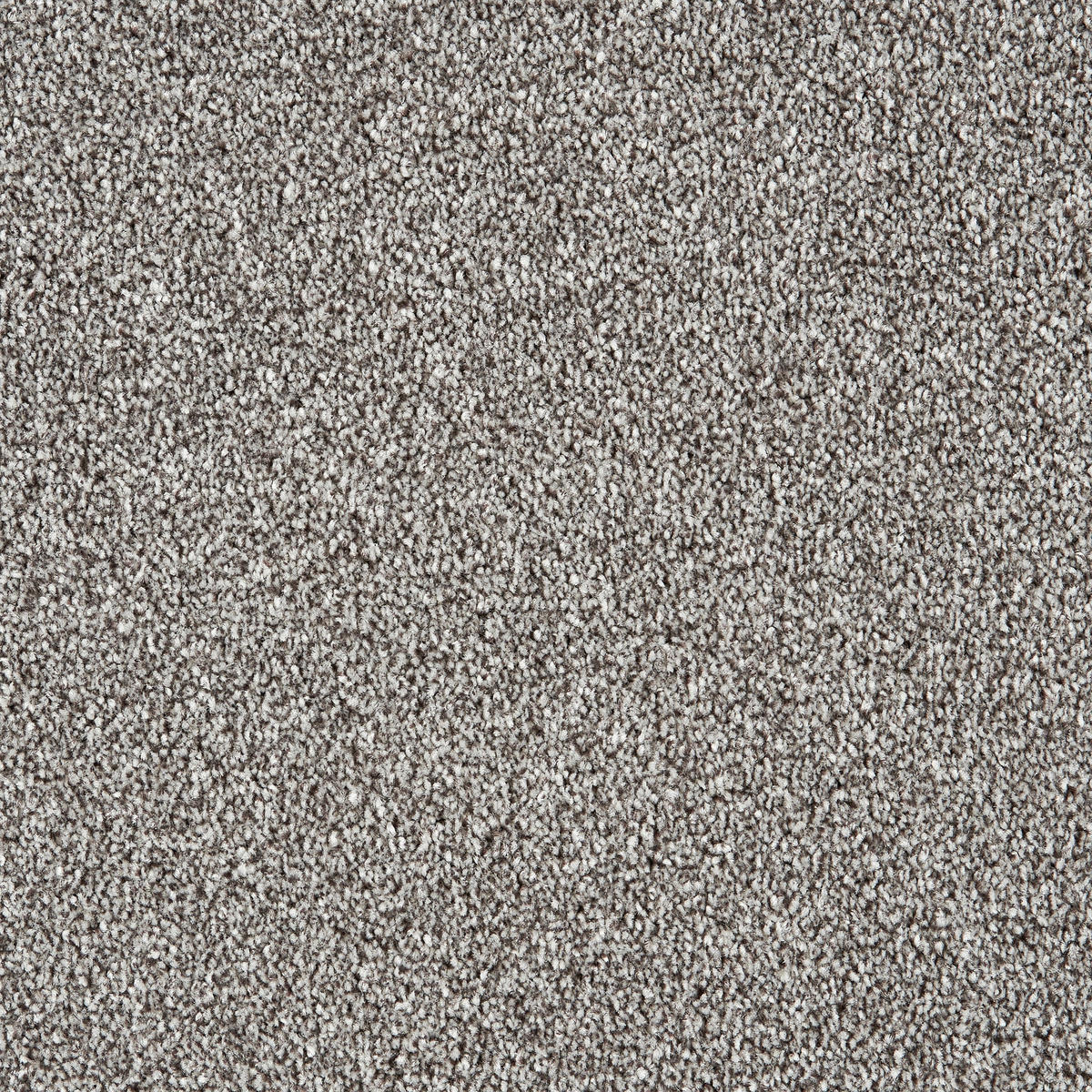 Teppichboden Sevilla grau B: ca. 400 cm pro m² Sevilla - grau (400,00cm)