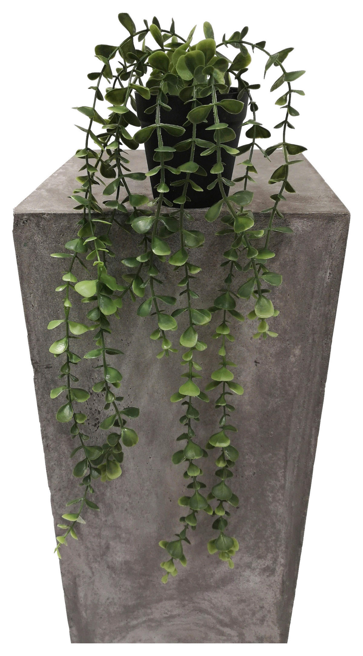 Kunstpflanze grün Kunststoff B/H/L: ca. 10x10x50 cm Eukalyptushänger - grün (50,00/10,00/10,00cm)