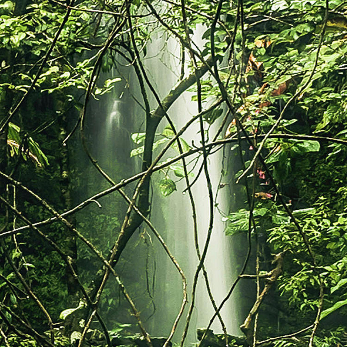 Komar Fototapete My Hidden Treasure B/L: ca. 400x250 cm My Hidden Treasure - (400,00/250,00cm) - Komar