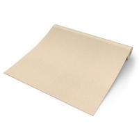 Rasch Vliestapete Schimmer beige B/L: ca. 53x1005 cm Vliestapete_650570 - beige (53,00/1005,00cm) - Rasch