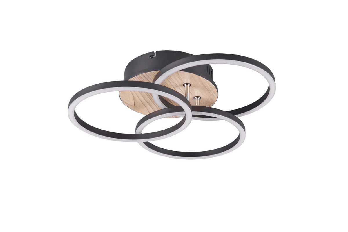 Reality LED-Deckenleuchte R62823135 Circle schwarz MDF Acryl Metall B/H: ca. 43x9 cm 1 Brennstellen Circle - schwarz (43,00/9,00cm) - Reality