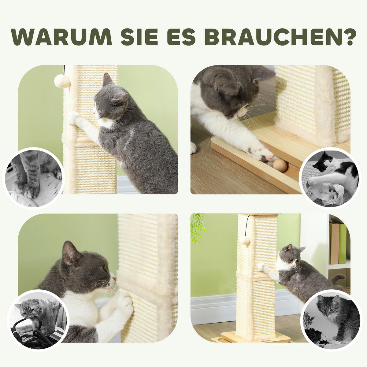PawHut Kratzstamm Eiche Sisal B/H/L: ca. 34x67x34 cm Kratzstamm - Eiche (34,00/34,00/67,00cm) - PawHut