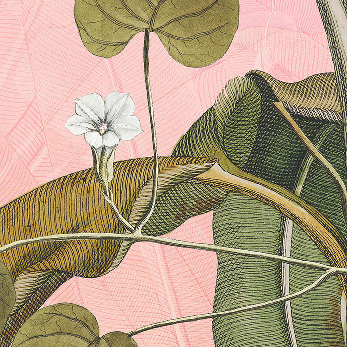 Komar Fototapete Botany D: ca. 125 cm Botany - (125,00cm) - Komar
