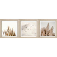 Bönninghoff Gerahmtes Bild Gräser B/L: ca. 23x23 cm Bilderset_Cheb_3tlg. - (23,00/23,00cm) - Bönninghoff