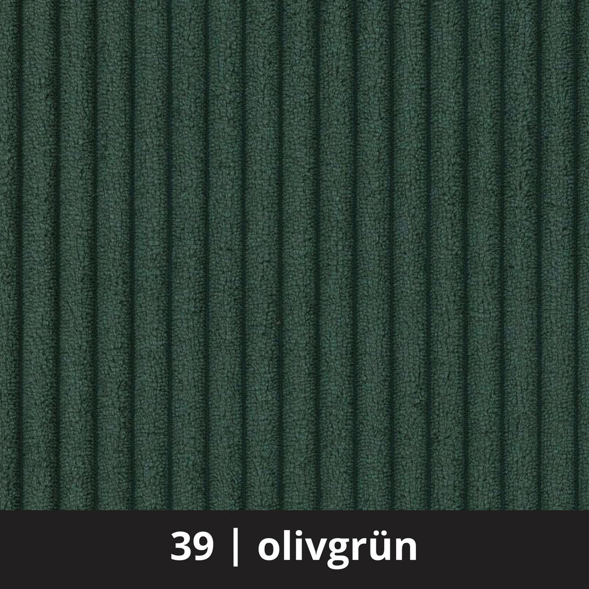 Ecksofa mit Bettfunktion und Bettkasten olive Microfaser B/H/T: ca. 288x78x179 cm Lake_248-8002_2F+BK/li-Ot/re_Eckso. - olive/silber (288,00/78,00/179,00cm)