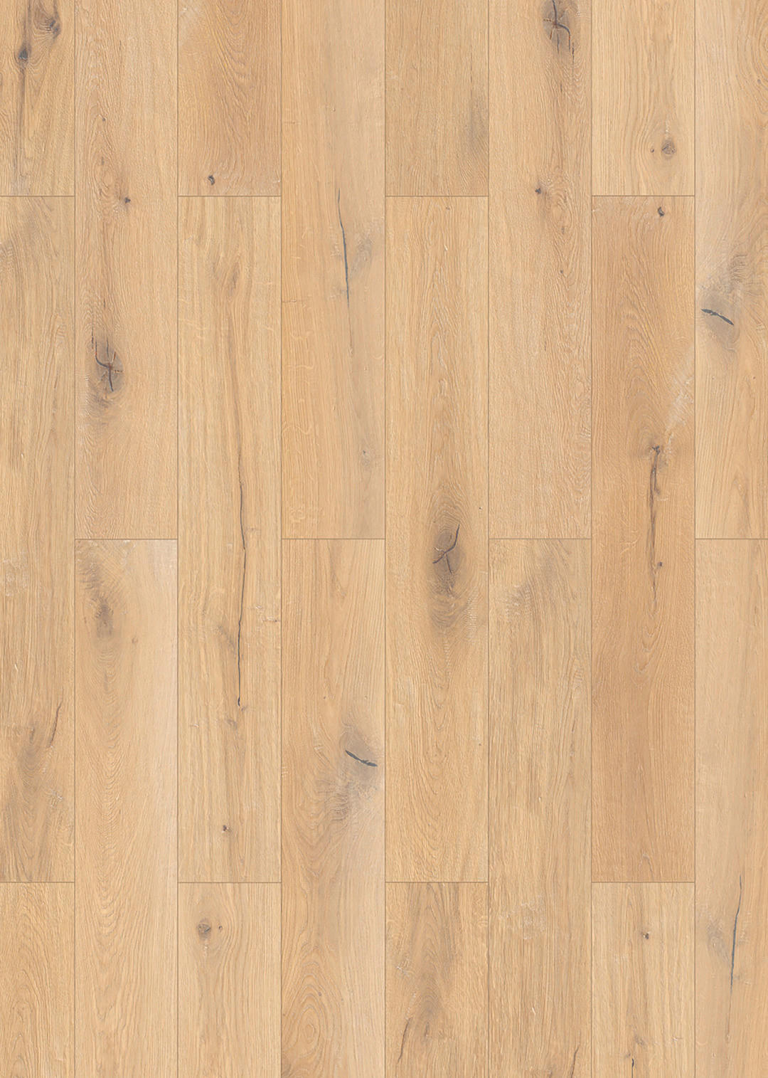 Musterstück natur B/L/S: ca. 19,4x30x0,8 cm Muster Laminat Oak nature - natur (19,40/30,00cm)