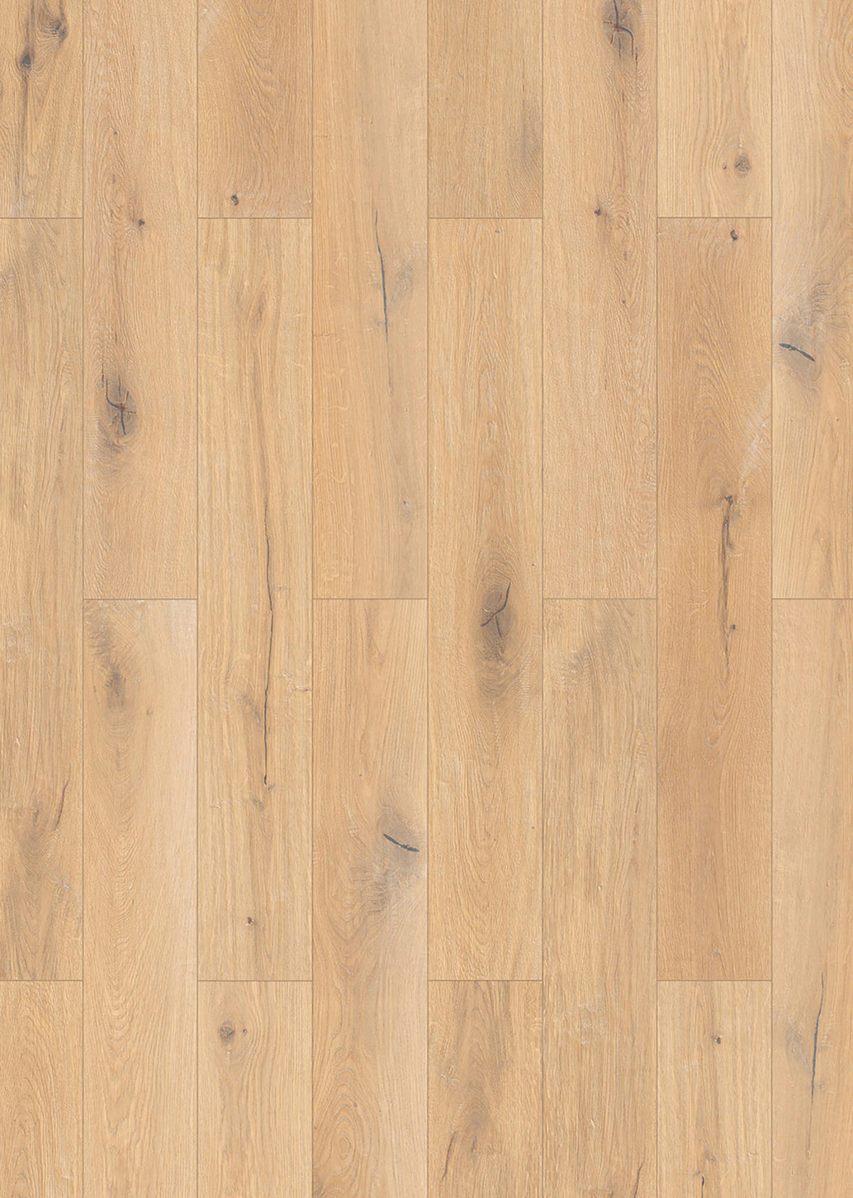 Musterstück natur B/L/S: ca. 19,4x30x0,8 cm Muster Laminat Oak nature - natur (19,40/30,00cm)