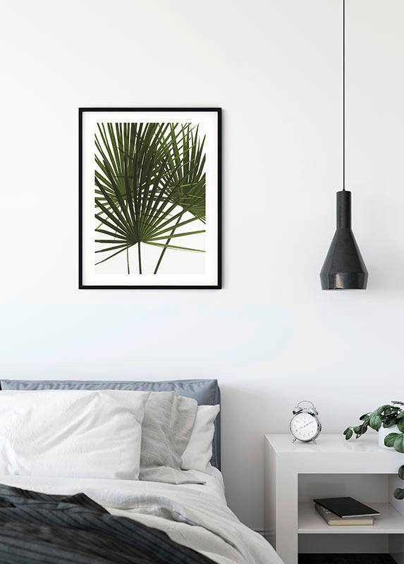 Komar Wandbild Palmtree Leaves Pflanzen B/L: ca. 40x50 cm ▷ online bei POCO  kaufen