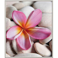 The Wall Bilderrahmen silber Kunststoff B/L: ca. 50x60 cm Fotorahmen 50x60cm - silber (50,00/60,00cm) - The Wall