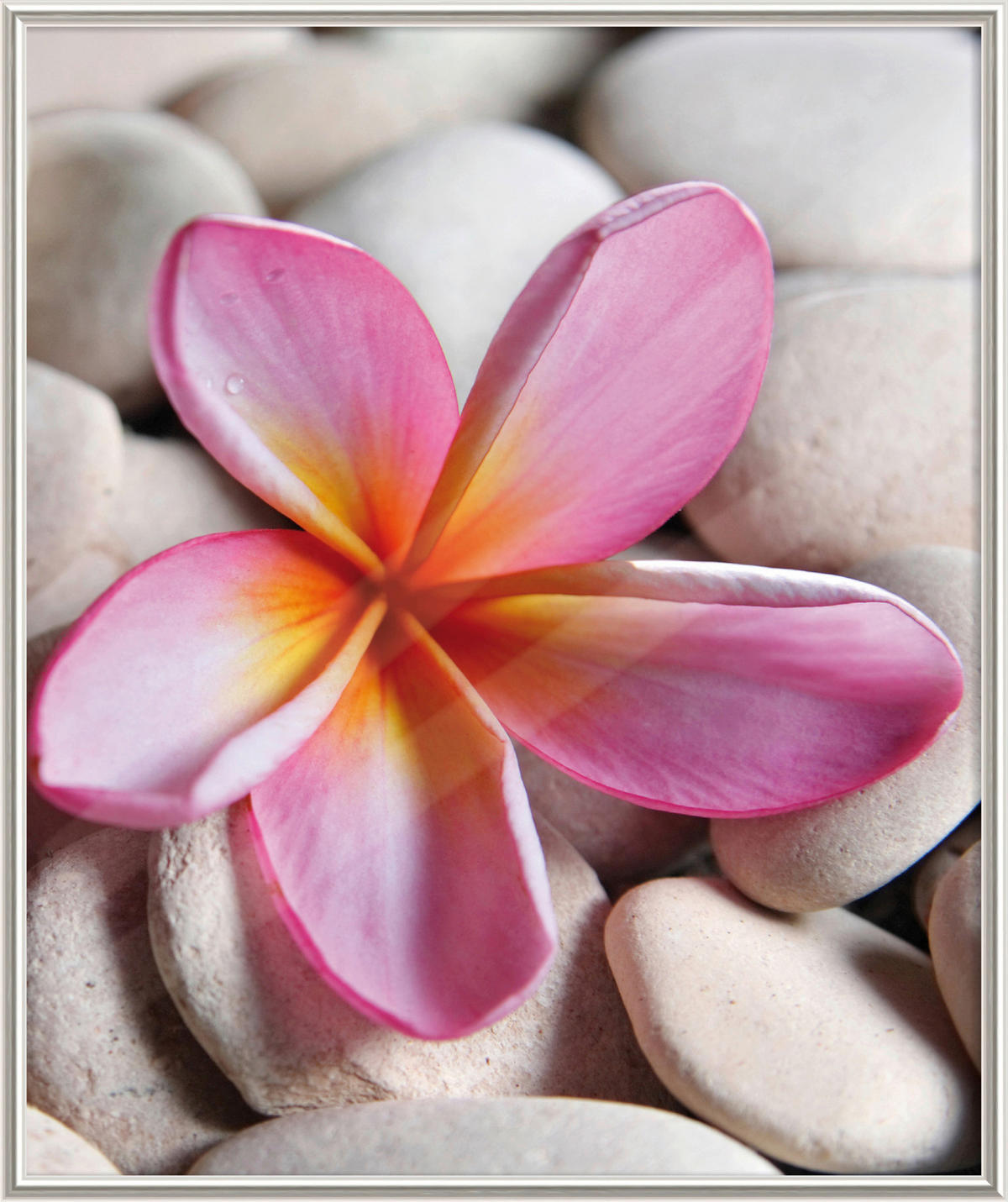 The Wall Bilderrahmen silber Kunststoff B/L: ca. 50x60 cm Fotorahmen 50x60cm - silber (50,00/60,00cm) - The Wall