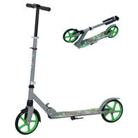 AIYAPLAY Kinderscooter grün B/H/L: ca. 38x103x94 cm Kinderscooter - grün (94,00/38,00/103,00cm) - AIYAPLAY