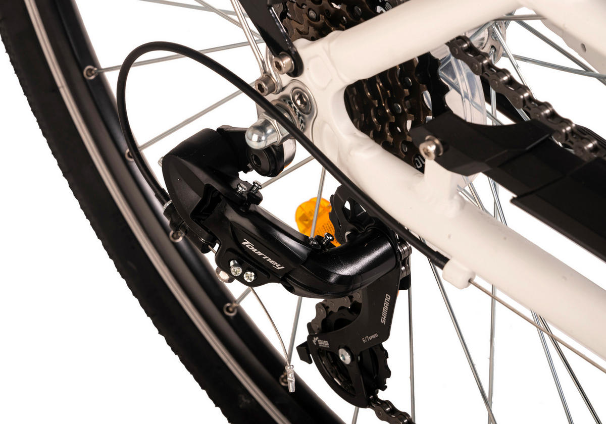 Hollandia City E-Bike Zagon KS184E 28 Zoll Rahmenhöhe 44 cm 6 Gänge weiß weiß ca. 250 W ca. 36 V ca. 28 Zoll Zagon - weiß - Hollandia