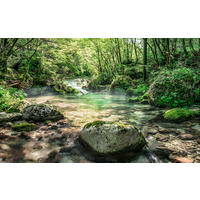 Komar Fototapete Tranquil Pool B/L: ca. 400x250 cm Tranquil Pool - (400,00/250,00cm) - Komar