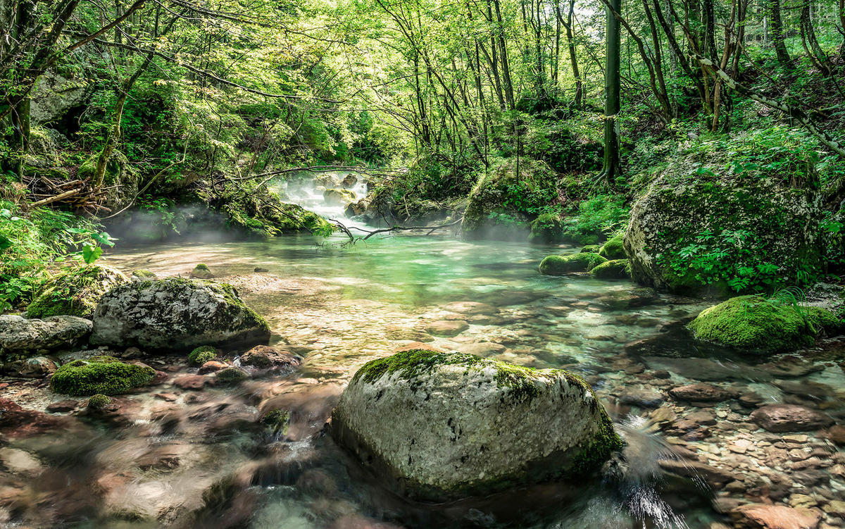 Komar Fototapete Tranquil Pool B/L: ca. 400x250 cm Tranquil Pool - (400,00/250,00cm) - Komar